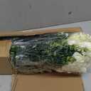 MARTINE MALL 12 Bundles Look Real Artificial Flowers for Outdoors, Realistic Fake Outdoor Flowers, UV Resistant Silk Flowers for Outside Faux Flowers Plants for Outdoor planters Porch, White