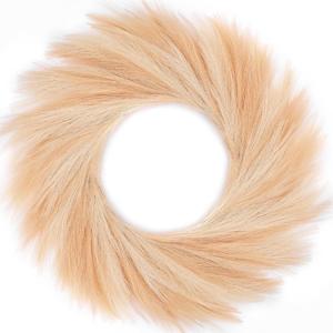 Rowfad Faux Pampas Grass Wreath, 26'' for Front Door, Boho Farmhouse Decor, DIY Fall Autumn Wreath (Beige and Brown)