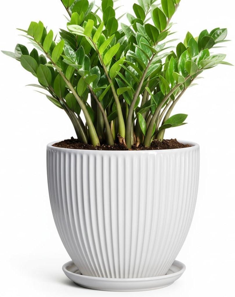 10 Inch Planter, Ceramic Plant Pots with Saucer, White