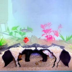 Aquarium Hidden caveSmall Bottom-Dwelling Fish&Shrimp Safe Hiding HoleUnderground Double-Hole Hiding Tunnel3D Printed Fish Tank Decoration Accessories (Large Size) (Black)