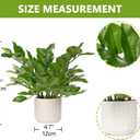 Briful Faux Plants Indoor 17" Artificial ZZ Plants in Ceramic Pot Fake Potted Zamioculcas Silk Plants for Home Table Decor Bedroom Aesthetic (1Pack)
