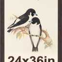 24x36 Poster Frame Walnut Brown. Curved Extra MDF Wide Edges with Black Backboard Vintage Poster Frame 24x36 inches for Gallery Wall Decor.