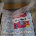 Out! PetCare Disposable Dog Diapers Female, Potty Training, Dog Diapers, Female Doggie in Heat, Puppy Training, Incontinence, Puppy Essentials, Adjustable Fasteners, 13-18 Waist (XS/S, 96ct)