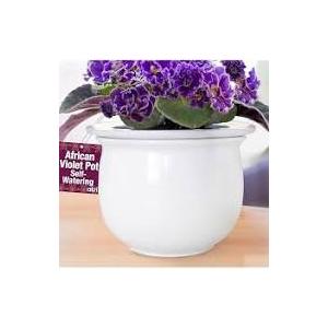 Self Watering Planter Pot for African Violets, White Ceramic with Ruffled Edge, Indoor Plant Pot with Bottom Watering System