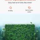 VEVOR 24PCS Artificial Boxwood Panels, 24 x 16 in 1.6 in Sun Protected Boxwood Hedge Wall Panel, Green Fake Grass Backdrop Wall for Privacy Fence Decor Indoor Outdoor Garden Backyard