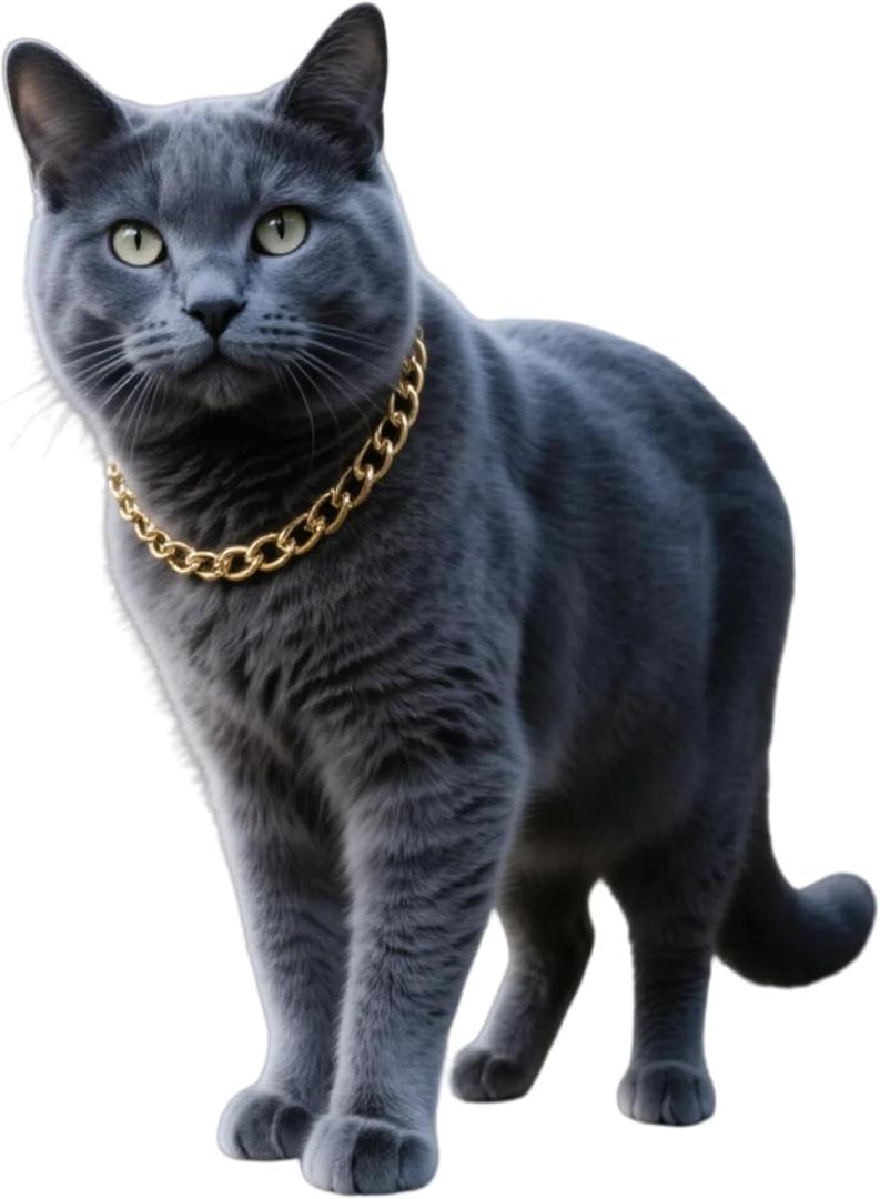 Gold Cat Chain Collar,Adjustable Cuban Link Necklace for Cats, Lightweight & Durable Metal Pet Jewelry, Stylish Decorative Accessory (Gold, S)