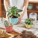 Metahom Ceramic Plant Pots, 3.8+4.9+5.8 Inch, Set of 3 Flower Pots with Drainage Hole & Saucer, Trio Planter Pots Set for House Plants, Home Decor, Vibrant Colors