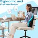 Niceeday Lumbar Support Pillow for Office Chair Car Back Support Pillow, Memory Foam Gaming Chair Desk Chair Back Cushion for Lower Back Pain Relief, Ergonomic Back Rest,Office Home Essentials
