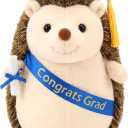 Hollowfly 2026 Graduation Gifts Plush Hedgehog 11.8 in Stuffed Animal with Cap Diploma Congrats Grad Sash Cute Hedgehog Graduation Plushies Plush Toy Doll for Class of 2026 Students Boys Girls(Blue)