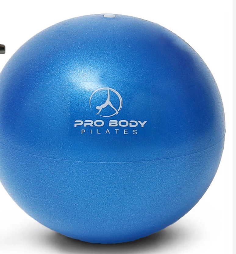 ProBody Pilates Small Exercise Ball 9 Inch Workout Ball for Stability, Barre, Yoga, Core & Physical Therapy, Home Gym & Office Use