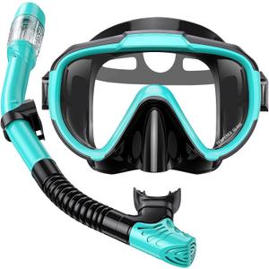Snorkel Set Adults Snorkeling Gear Anti-Fog Panoramic View Swim Mask Dry Top Snorkel Kit with Carry Bag for Snorkeling Scuba Diving Swimming Travel (Green+Black)