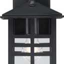Westinghouse 6123100 Caliste Traditional One Light Outdoor Wall Fixture with Dusk to Dawn Sensor, Black Finish, Clear Glass