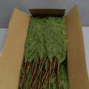 30 Pcs Christmas Norfolk Pine Branches, 19" Extra Length Fake Greenery Norfolk Pine Stems Sprigs, Artificial Xmas Branches Plants Pines Needles for DIY Craft Garland Home Garden Decor