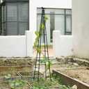FOLLOOK Cucumber Trellis, 67" Tall Obelisk Garden Trellis for Climbing Plants Outdoor Plastic-Coated Metal Support for Flower Vine Vegetable Tomato Cage Cucumebr Trellis Raised Bed, Black, 2 Pack
