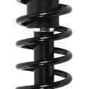 Rear Strut Coil Spring Assembly Compatible with Corolla 09-13 | Left