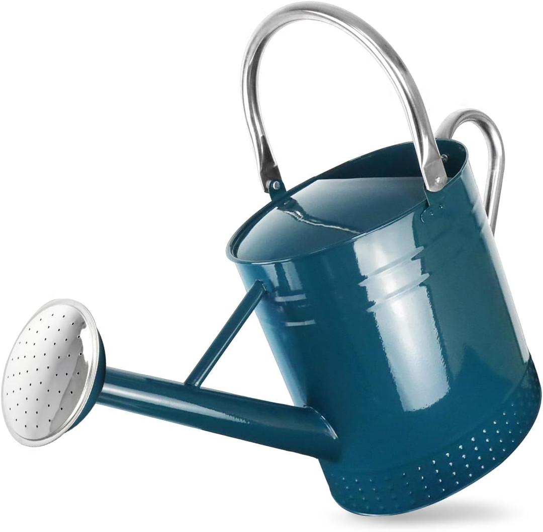 2 Gallon Meltal Garden Watering Can Removable Spout, Galvanized Steel Large Water Can with Embossed Design for Outdoor Indoor Plants (Ocean Blue, 2 Gallon)