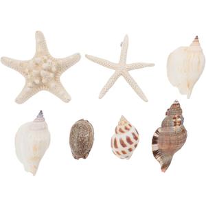 NUOBESTY Magnet Fridge 7PCS Refrigerator Beach Magnets 3D Seashell Conch Shape Sticker Nautical Refrigerator Whiteboard Locker for Home Kitchen Random Style Fridge Decor