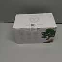 HOME GROWN Bonsai Tree Kit  Grow 4 Bonsai Types Indoors with Complete Starter Kit Including Pots Peat Pellets and Bonus Grow Guide  Unique Gardening Gift for Men Women Beginners