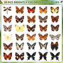 Thyle 30 Pcs Real Taxidermy Butterfly Specimen Artwork Material Decor Natural Unmounted Butterfly Collection Assorted Taxidermy Animals for Entomology Craft Home Office Display Artwork