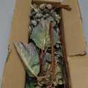 Green Hydrangea Artificial Flowers,Fake Fall Flowers Silk Hydrangea with Stems,Fall Faux DIY Floral for Table Vase,Hydrangeas Bouquet Indoor and Outdoor Decoration 24" Green 8pcs No Vase