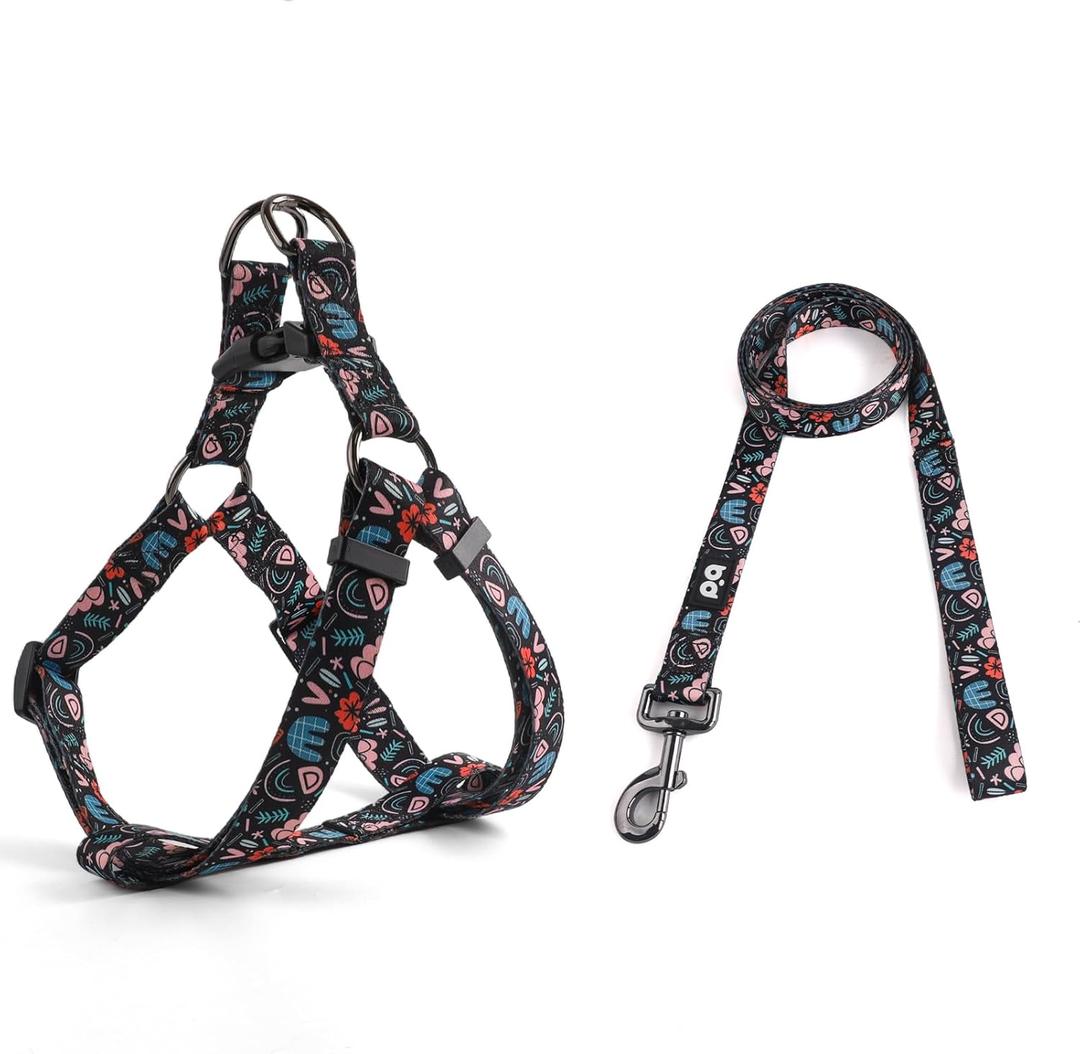 QQPETS Dog Harness Leash Set Adjustable Heavy Duty No Pull Halter Harnesses for Breed Dogs Back Clip Anti-Twist Perfect for Walking, XS