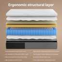Twin 10 Inch Hybrid Mattress in a Box, Medium-Firm, Memory Foam with Individually Pocketed Coils, Zoned Support, Motion Isolation, CertiPUR-US Certified