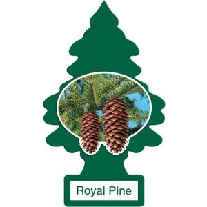 LITTLE TREES Car Air Freshener | Hanging Paper Tree for Home or Car | Royal Pine | 12 Pack