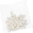 Aqua Clear AquaClear 20 BioMax, Aquarium Filter Replacement Media, A1370A1