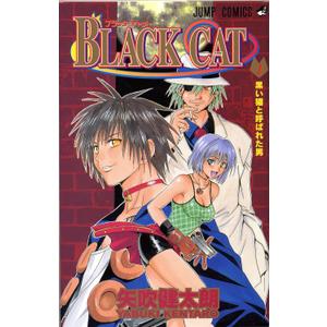 Black Cat, Vol. 2 (2)
