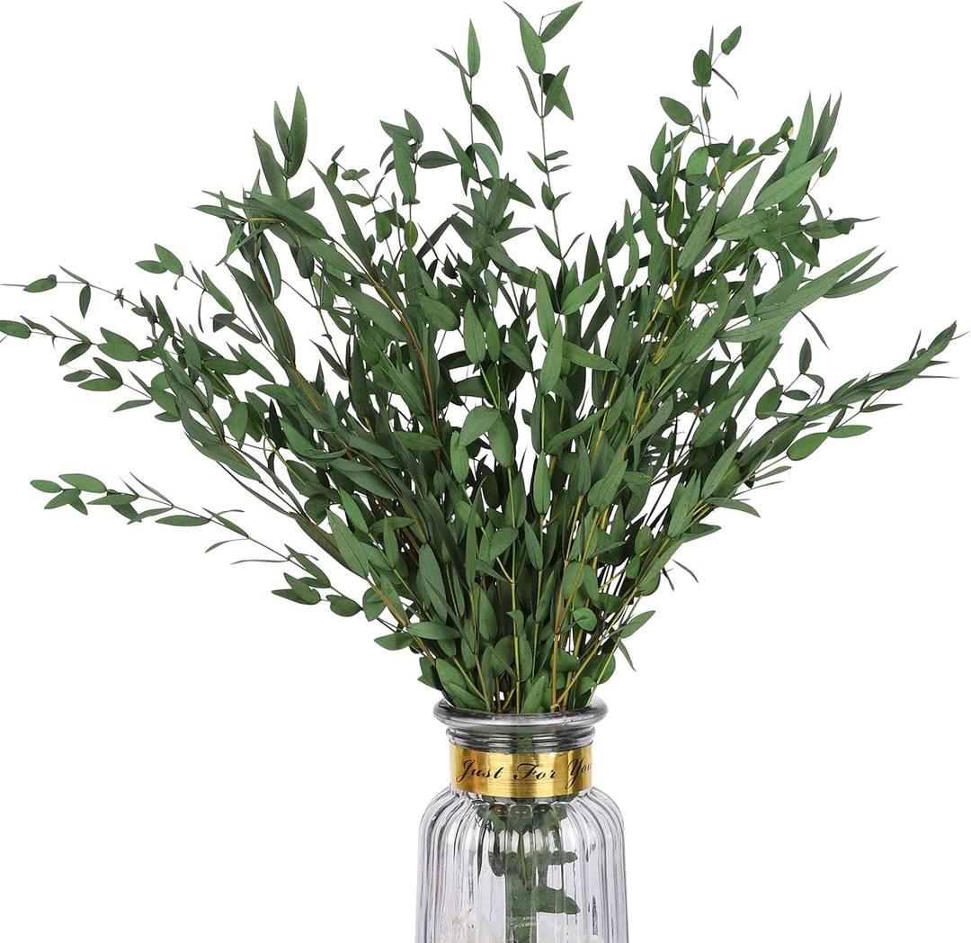 Real Eucalyptus Stems Greenery Decor 20PCS 17" Dried Willow Eucalyptus Plant Preserved Greenery Stems for Home Vase Filler Wedding Flowers Arrangement Spring Decorations (Green-fine Willow)
