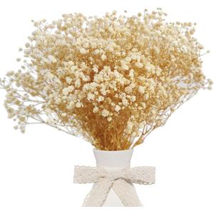 Dried Babys Breath Bulk Natural Dried Gypsophila Flowers White Babys Breath Stems for Home Decor, Weddings, Crafts