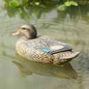 RioRand Realistic Plastic Duck Hunting Decoy Garden Decor (Female)