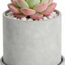 Ekirlin 6 Inch Flower Indoor Plant Pot, Natural Cement Grey Garden Planters, Outdoor Concrete Planter with Drain Hole Saucer Tray, 5 in Modern Succulents Containers for Home Decor & Garden Plants (A1.gray)