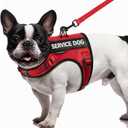FAYOGOO Service Dog Vest for Small Dogs - Air Mesh Breathble Emotional Support Animal Vest with DIY Patches - Puppy Harness and Leash Set Adjustable Neck and Chest (Red)