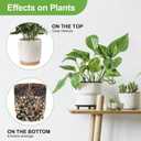 Pulovin 5 lbs Pebbles for Indoor Plants, Succulent, Bamboo, Vase, 3/8" Plant Rocks for Pots Indoor, Small River Rocks Decorative Pea Gravel, Highly Polished