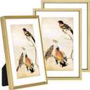 5x7 Picture Frame Set of 3, Brass Metal Photo Frames with HD Glass, Fits 4x6 with Mat or 5x7 without Mat, Wall Hanging and Table Display