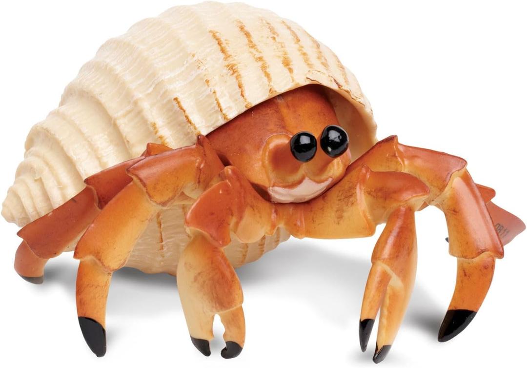 Safari Ltd. Hermit Crab Figurine - Detailed 4.5" Model Figure - Educational Toy for Boys, Girls, and Kids Ages 18M+
