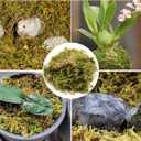 5 x Dried Forest Moss for Plants 5.3oz / 3qt, Green Orchid Sphagnum Moss, Long Fibered Dried Moss for Succulents Garden Flowers Pot and Reptiles