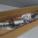 Catalytic Converter Compatible with Toyota Corolla/Matrix/Pontiac Vibe 2003 2004 2005 2006 2007 2008 1.8L L4 Catalytic Convertor W/Gasket EPA Compliant 53717