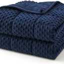 Topcee Weighted Blanket for Adults (20lbs 60"x80"), Minky Dots Heavy Blanket for 190-210lbs Sleeping, Soft, Cozy and Cooling Weighted Throw Blankets, Machine Washable, Blue
