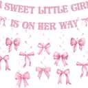 Pasimy Pink Baby Shower Decorations a Sweet Little Girl Is on Her Way Banner Pink Bow Swirls Coquette Baby Shower Decor for Birthday Gender Reveal Photo Props Sign Party Supplies