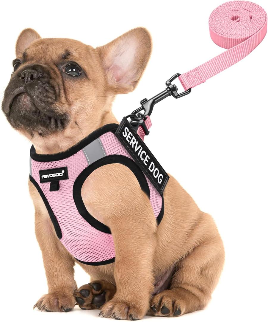 FAYOGOO Service Dog Vest for Small Breed - Lightweight Dog Harness with 6PCS Removable Patches - Puppy Harness and Leash Set for Walking,Training (Pink)
