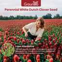 Groundio Annual Crimson Clover Seeds, 2 lbs, Trifolium Incarnatum Seeds for Lawn Alternative, Attracts Pollinators, Nitrocoated and Inoculated