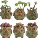 Ogrmar 6Pack Owl Plant Window Boxes Cute Owl Flower Pot/Modern Ceramic Succulent Planter Pots/Tiny Flower Plant Containers Animal Decor