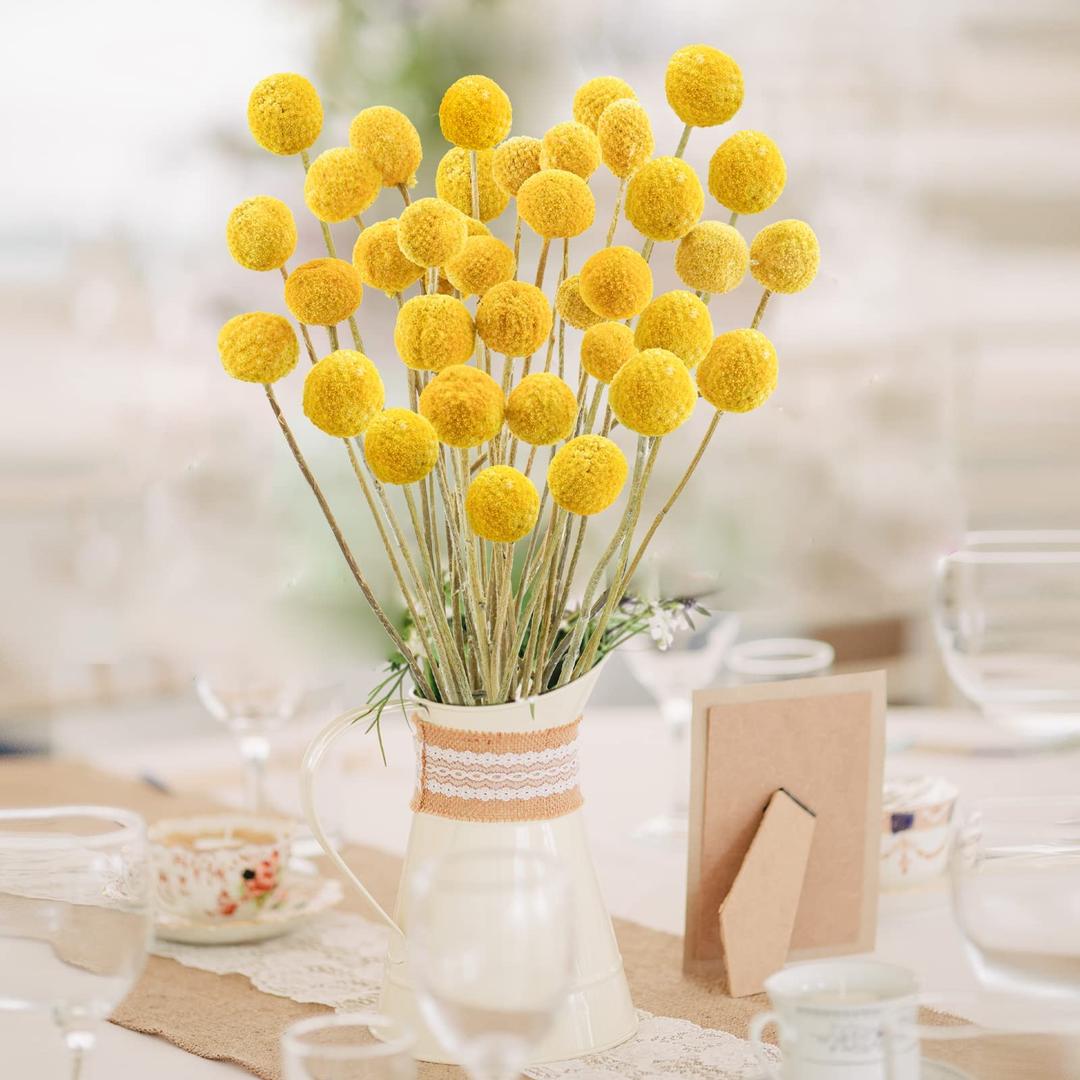 Natural Dried Flower - Craspedia/Billy Balls Yellow Flowers Arrangements Bouquet for Farmhouse Wedding Home Vase Party DIY Decor