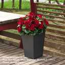 QIANYUN 2Pcs 19'' Realistic Artificial Geranium, Uv Resistant, Wedding Kitchen Garden Table Centerpieces Indoor Outdoor Decor (Red Geranium Flower)