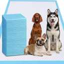 40 Count Potty Training Pads