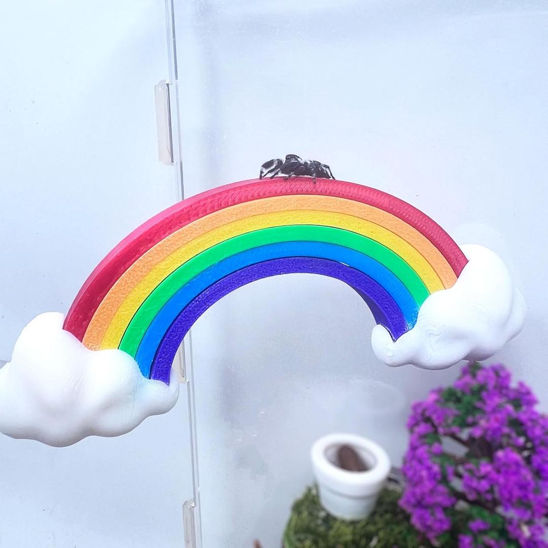 Jumping Spider Hidden Rainbow Bridge, Magnetic Jumping Spider Cloud Rainbow Platform, 3D Printed Spider Climbing Fence Accessories, Suitable for All Kinds of Small Insect Habitats (Large)
