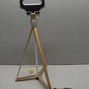 Cane with Seat 2-in-1 Portable Walking Stick with Seat for Men & Women Folding Lightweight Sturdy Tripod Cane Foldable Stool Mobility Aid Crutch Chair with Travel Bag for Elderly, Seniors & Handicap (white golden)