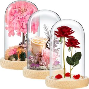 3 Pieces 8 x 4.7in Glass Cloche Display Dome, Decorative Glass Bell Jar with Solid Wood Base, Clear Cloche Dome Display Case for Home Decor, Craft, Plants, Light